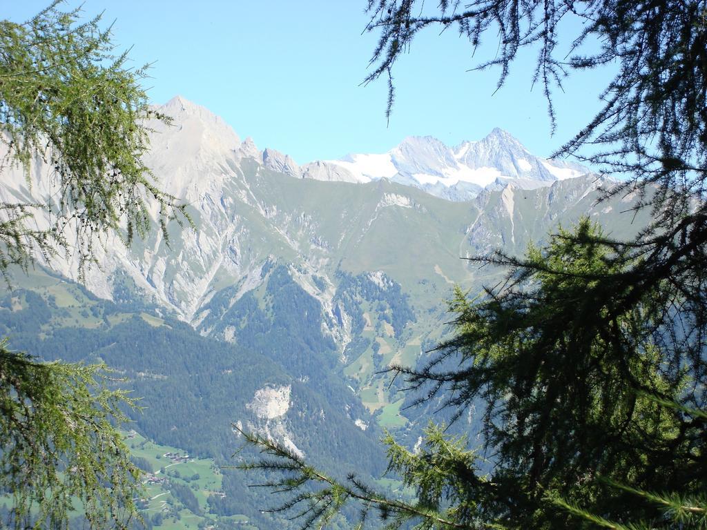 Apartments Poetscher Matrei in Osttirol Eksteriør bilde